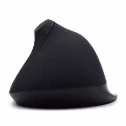 Ewent EW3158 mouse Ufficio Mano destra RF Wireless 1600 DPI