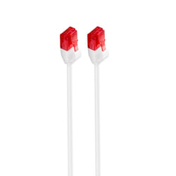 Ewent IM1039 cavo di rete Bianco 2 m Cat6 U/UTP (UTP)