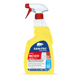 Sanitec 1838-S disinfettante per la casa
