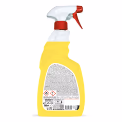 Sanitec 1838-S disinfettante per la casa