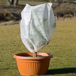 Copertura termoclima anti gelo, detta anche agrotessile, realizzata in TNT di polietilene stabilizzato ai raggi UV. Disponibi ...