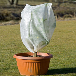 Telo Cappuccio Termoclima 17gr tnt antigelo piante albero tessuto d 1 x 1,6mt bianco (3 pezzi) STI