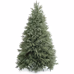 Il Lincoln è l'albero che meglio esprime il concetto di lusso. È infatti uno dei pochi alberi sul mercato totalmente in PE co ...