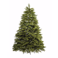 L'Oscar è un albero di alto livello, raffinato e dal fascino nordico. La chioma verde è resa folta grazie alla singolare form ...