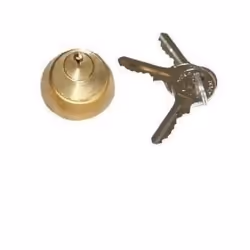 Cilindro interno per elettroserratura FAAC (712650) con 2 chiavi. Codice chiave n. 01