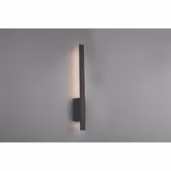 La lampada da specchio TAWA del brand Trio Lighting è realizzata interamente in alluminio pressofuso di colore antracite. Sor ...