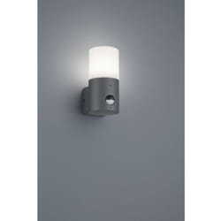 Applique Hoosic 1xE27 Antracite Con Sensore Movimento H17 cm IP44 Trio Lighting
