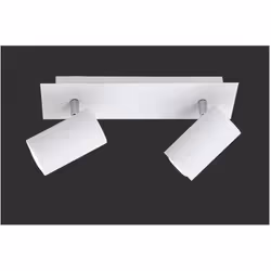 MARLEY di Trio Lighting è una lampada da soffitto composta da base rettangolare con 2 faretti spot orientabili, realizzata in ...