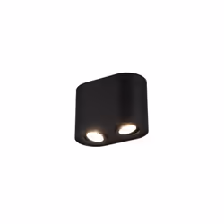 COOKIE di Trio Lighting è un faretto da soffitto a 2 luci composto da corpo interamente in metallo con 2 spot orientabili, in ...