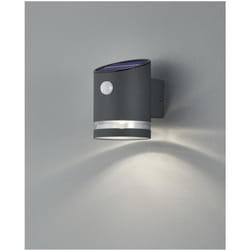 Lampada Da Esterno Salta Led IP44 Antracite Con Sensore Di Movimento Trio Lighting