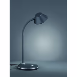 La lampada da scrivania BERRY di Trio Lighting è composta da una struttura interamente in plastica colore titanio con braccio ...