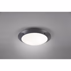 La plafoniera CAMARO di Trio Lighting è composta da una struttura rotonda interamente in plastica finitura antracite e diffus ...