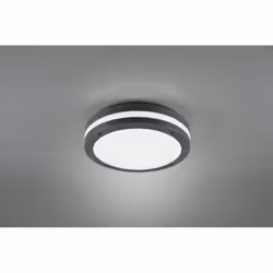 La plafoniera KENDAL di Trio Lighting è composta da una struttura rotonda interamente in plastica finitura antracite. Dotata  ...