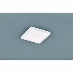 La plafoniera CAMILLUS di Trio Lighting è composta da una struttura quadrata interamente in plastica e diffusore in acrilico  ...
