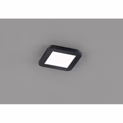 La plafoniera CAMILLUS di Trio Lighting è composta da una struttura quadrata interamente in plastica finitura nero opaco e di ...