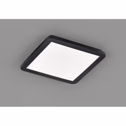 La plafoniera CAMILLUS di Trio Lighting è composta da una struttura quadrata interamente in plastica finitura nero opaco e di ...