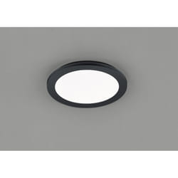 Plafoniera Rotonda Camillus Led Dimmerabile Nero IP44 Ø26 cm Trio Lighting