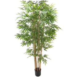 Pianta di bamboo 230 cm x 2480 foglie