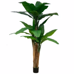 Pianta di banano ornamentale 200 cm con vaso Questa pianta finta di banano offre un effetto realistico, perfetta per arricchi ...