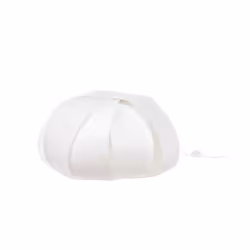 Piantana Terra Ellisse Flat PP Bianco La piantana terra ellisse flat in bianco è un elemento d'arredo elegante e moderno, ide ...