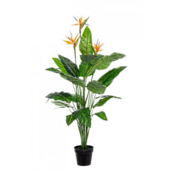 2x Pianta strelitzia 70x70x150h in plastica