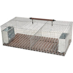 Gabbia conigli fattrici 100x50x34 cm