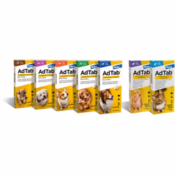 Compresse antiparassitarie masticabili 'Adtab' per cani Le compresse antiparassitarie masticabili 'Adtab' sono formulate spec ...