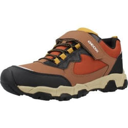 Scarpe bambini Geox J MAGNETAR Marrone - 36