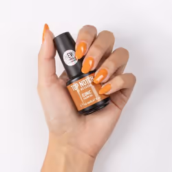 Top Notch by Mesauda Iconic Colour Gel, 272 Northern Lights, 14 ml