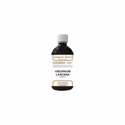 Dr Giorgini Gemmo 10+ Viburno è un integratore alimentare indicato per favorire le vie respiratorie e proteggere da infezioni ...