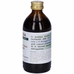 Dr.Giorgini Gramigna Integratore per Vie Urinarie 200ml - Vista aggiuntiva 4