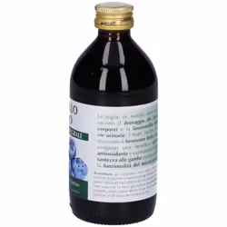 Dr. Giorgini Mirtillo Nero Estratto Integrale per Vie Urinarie 200ml - Vista aggiuntiva 4