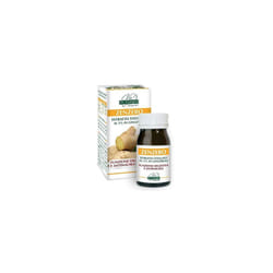 Dr Giorgini Zenzero Integratore per la Digestione 60 Pastiglie