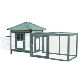 Gabbia per Galline Ovaiole in Legno, 196x76x97cm,Bianco e Verde - Pawhut