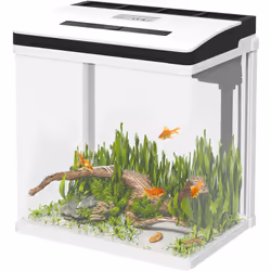 Descrizione: Porta il fascino di un ambiente marino nei tuoi spazi con il nostro acquario da casa PawHut. Questa vasca per pe ...