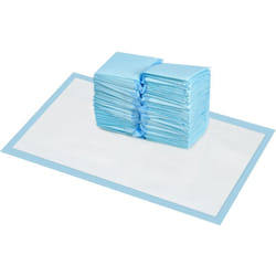 Set 100 Tappetini Assorbenti Cani a 6 Strati 45x60 cm Blu e Bianco - Pawhut