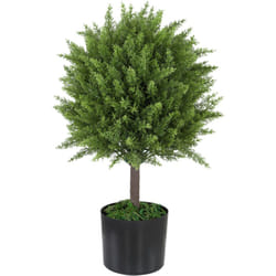 Homcom - Pianta Artificiale Alberello di Cedro con Vaso Incluso Alta 55cm