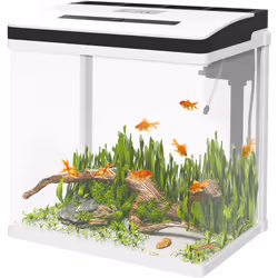 Descrizione: Porta il fascino di un ambiente marino nei tuoi spazi con il nostro acquario da casa PawHut. Questa vasca per pe ...