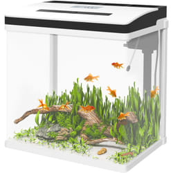Pawhut - Vasca per Pesci 28L a led con Pompa Silenziosa in Vetro e abs