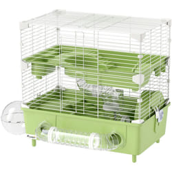 Pawhut - Gabbietta per Criceti a 2 Livelli e 3 Porte con Ruota Verde e Bianco