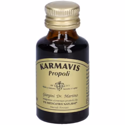 Dr. Giorgini Karmavis Propoli Integratore per le Vie Respiratorie Spray 15ml