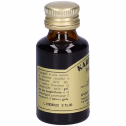 Dr. Giorgini Karmavis Propoli Integratore per le Vie Respiratorie Spray 15ml