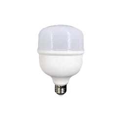Extrastar - Lampada a Led E27 Globo 28W 2950LM Bianco Freddo 6500K 102X160mm