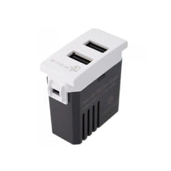 Extrastar - Modulo Presa Caricatore usb 5V 2,4A 2 Porte usb-a Colore Bianco Compatibile Con Bticino Living e Vimar Plana
