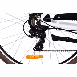 F.lli Schiano CITY BIKE MELINA C34 28" BIANCA - Vista aggiuntiva 3