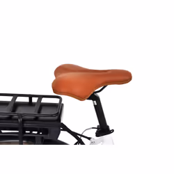 F.lli Schiano CITY BIKE MELINA C34 28" BIANCA - Vista aggiuntiva 5