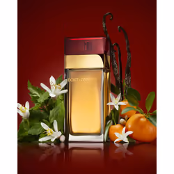 Dolce&Gabbana Pour Femme Eau de Toilette 100 ml - Vista aggiuntiva 4