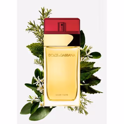 Dolce&Gabbana Pour Femme Eau de Toilette 100 ml - Vista aggiuntiva 5