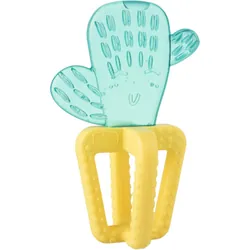 CH MassGeng.Fresh Cactus 4m+