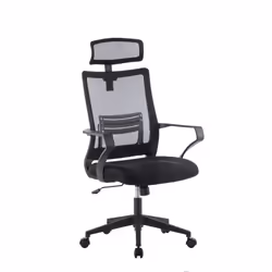 Techly ICA-CT MCA022, Seduta imbottita, Schienale a rete, Nero, Nero, Tessuto, Rete